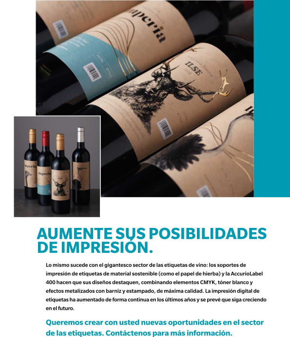 Soportes de Impresión