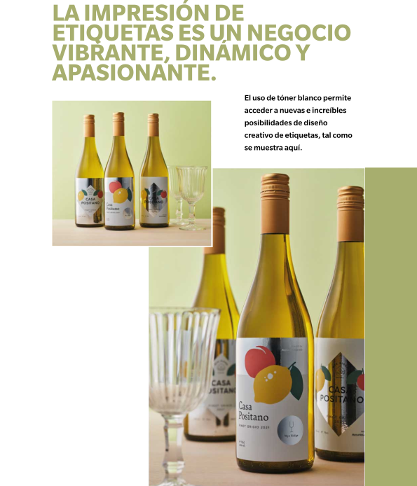 Diseño Vibrante y Dinámico
